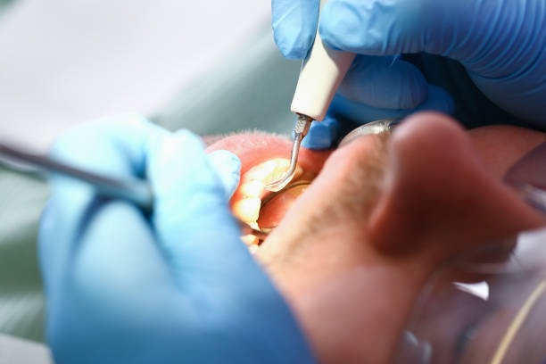 Best Emergency Orthodontic Repairs in Langley, SC